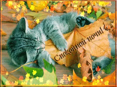 https://cerenas.club/60072-vsem-dobroj-osennej-nochi.html