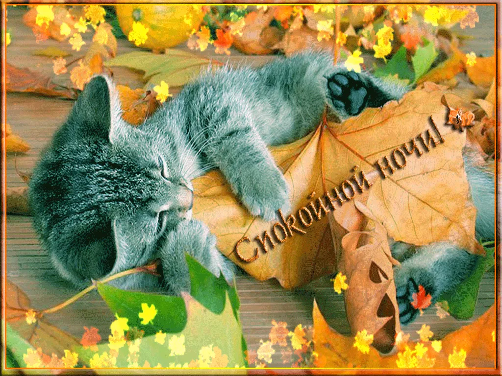 https://cerenas.club/60072-vsem-dobroj-osennej-nochi.html https://cerenas.club/60072-vsem-dobroj-osennej-nochi.html