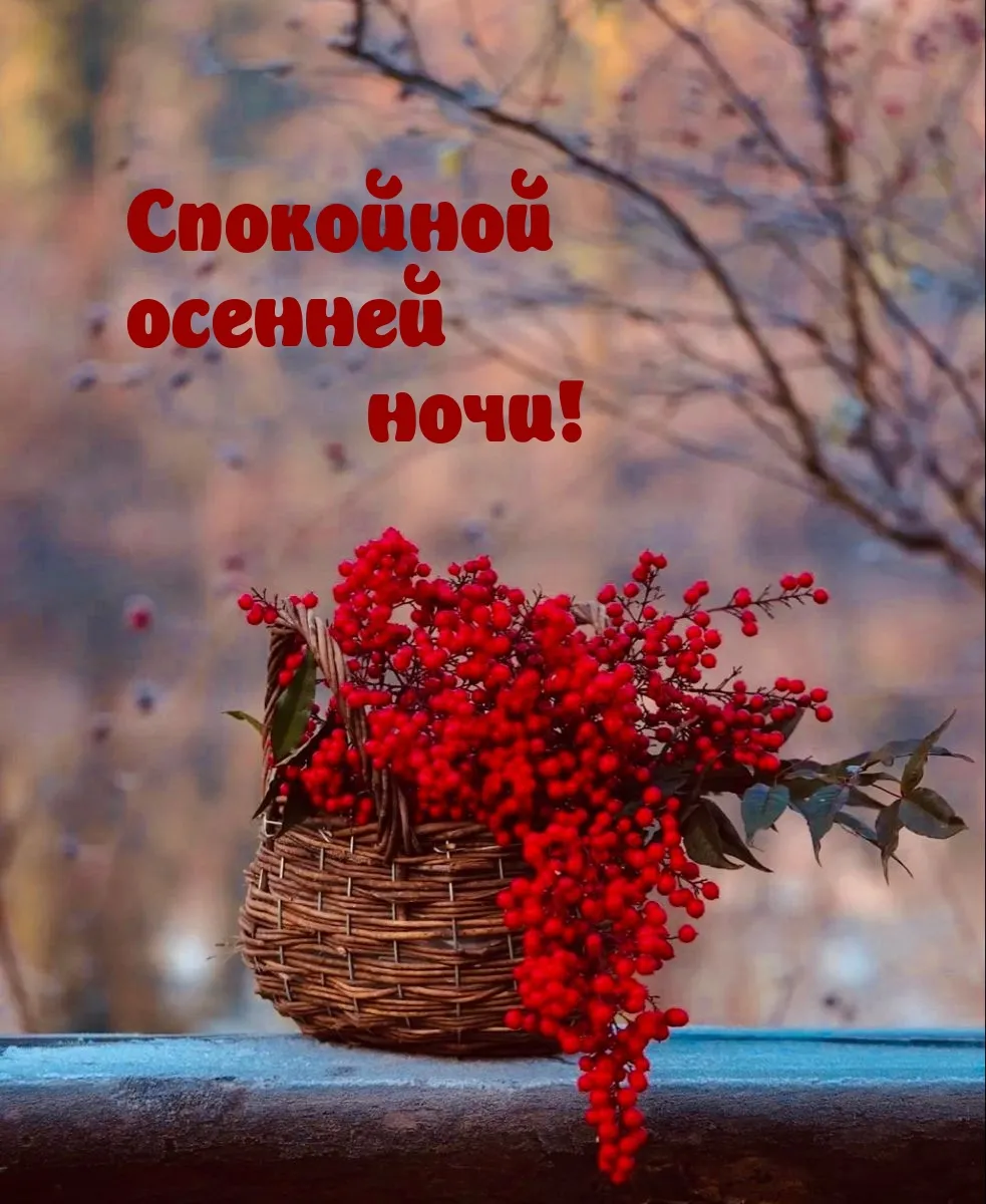 Осенние открытки \"Спокойной ночи!\" (253 шт.) Осенние открытки \"Спокойной ночи!\" (253 шт.)