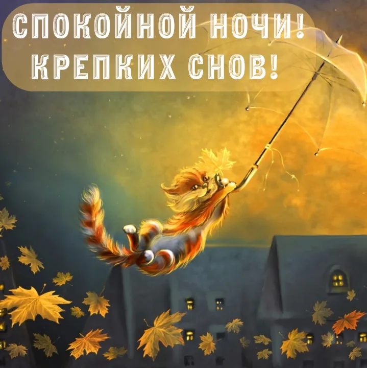 Елена | Доброй осенней ночи🍁❤️ | Дзен Елена | Доброй осенней ночи🍁❤️ | Дзен