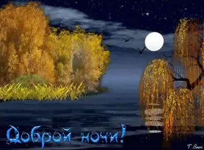 Осенние картинки Спокойной ночи (160 шт.)