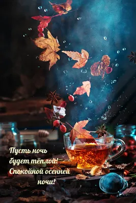 Доброй осенней ночи!#Сладких мирных снов!# | TikTok