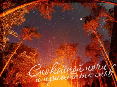 Красивые картинки \"Спокойной осенней ночи!\" (115 шт.)