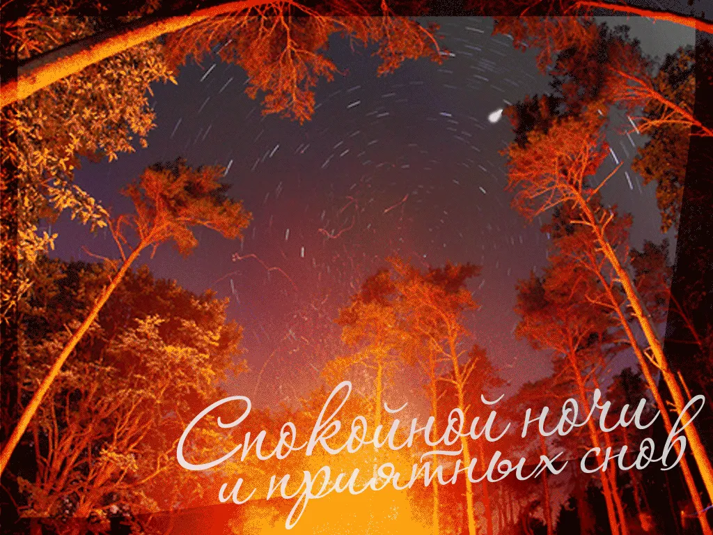 Красивые картинки \"Спокойной осенней ночи!\" (115 шт.) Красивые картинки \"Спокойной осенней ночи!\" (115 шт.)