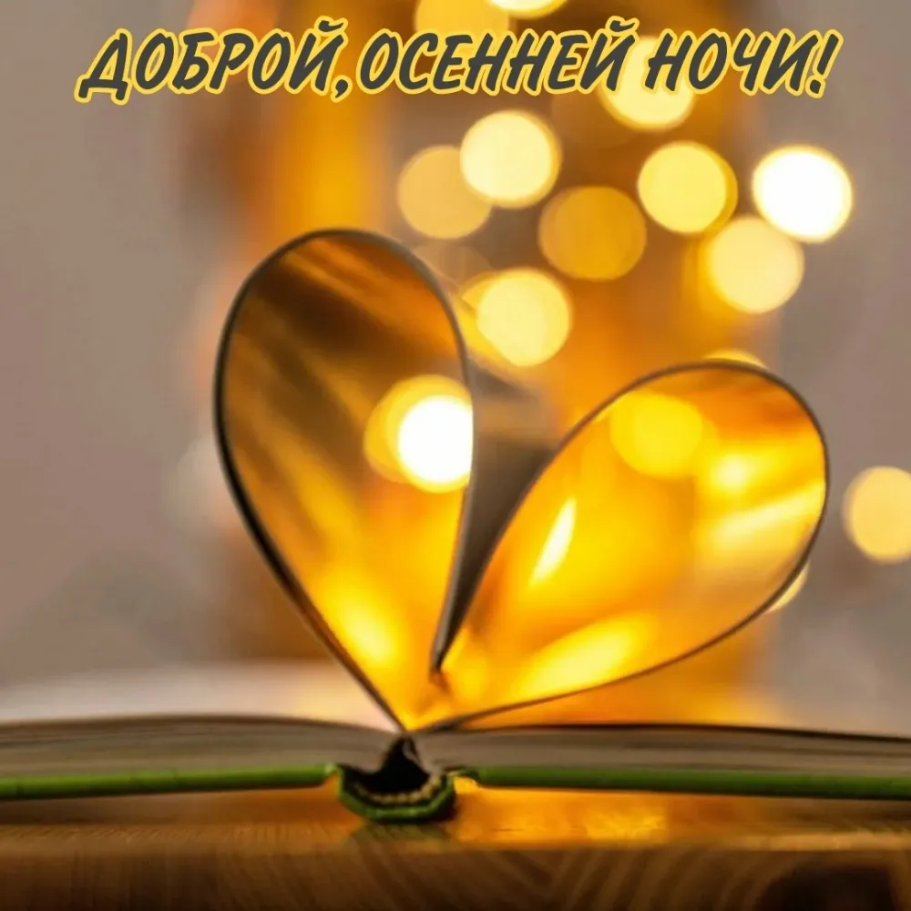 Доброй осенней ночи!#Сладких снов!# | TikTok Доброй осенней ночи!#Сладких снов!# | TikTok