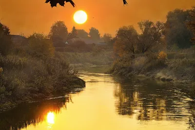 https://cerenas.club/65916-chudesnoj-osennej-nochi.html