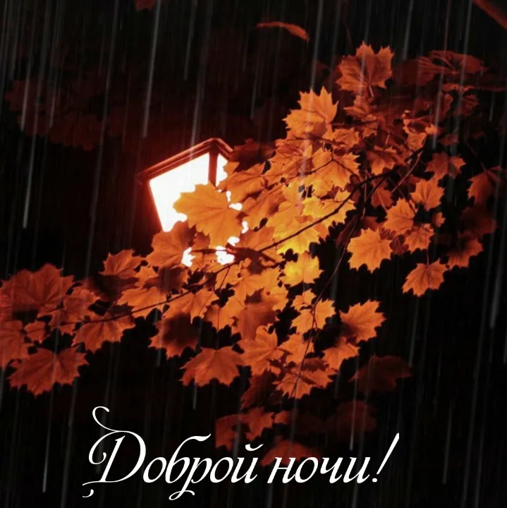 Елена | Доброй ночи осенней🍁🫶 | Дзен Елена | Доброй ночи осенней🍁🫶 | Дзен