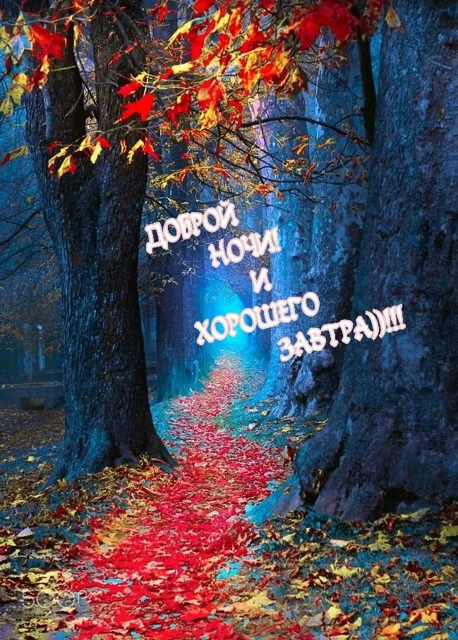 Картинка: ДОБРОЙ, ОСЕННЕЙ НОЧИ! Картинка: ДОБРОЙ, ОСЕННЕЙ НОЧИ!