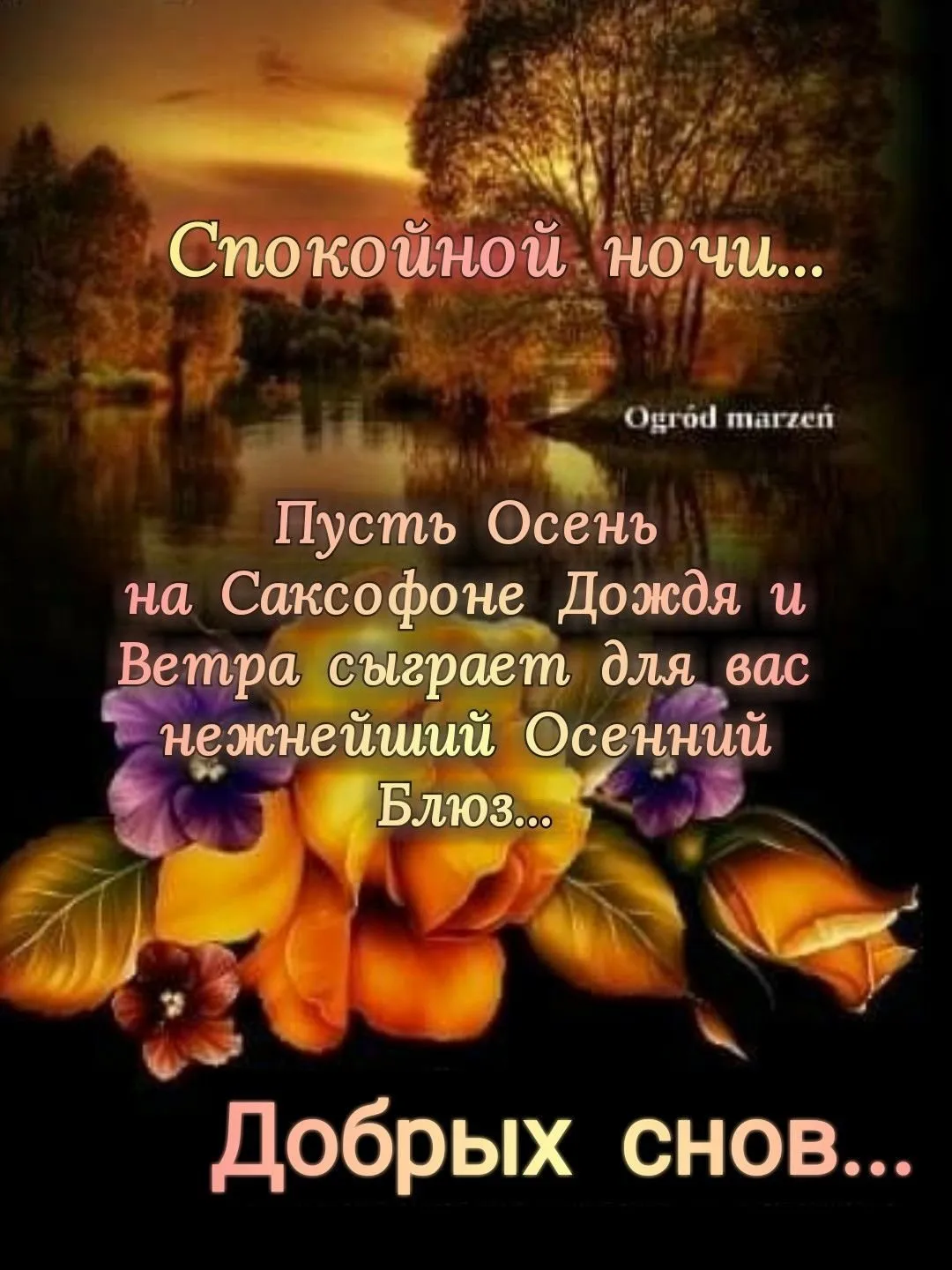 Осенние открытки \"Спокойной ночи!\" (253 шт.) Осенние открытки \"Спокойной ночи!\" (253 шт.)