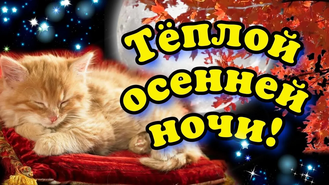 Доброй осенней ночи#Крепкого сна! # | TikTok Доброй осенней ночи#Крепкого сна! # | TikTok