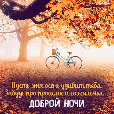 Красивые осенние картинки \"Спокойной ночи!\" (151 шт.)