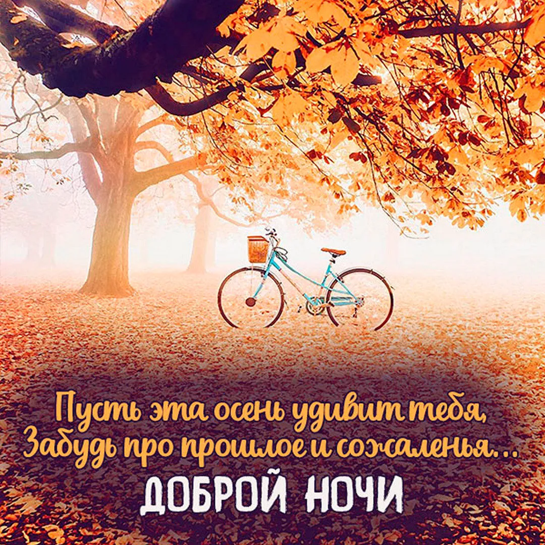 Красивые осенние картинки \"Спокойной ночи!\" (151 шт.) Красивые осенние картинки \"Спокойной ночи!\" (151 шт.)