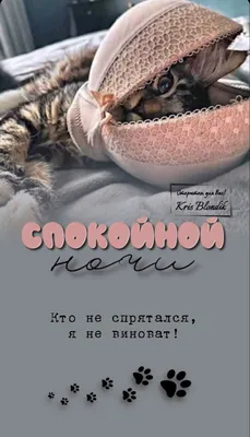 Картинки доброй осенней ночи - 72 фото