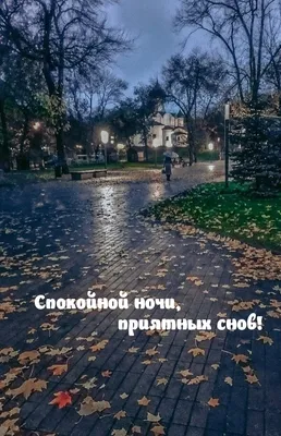Открытки с пожеланиями спокойной ночи - скачайте на Davno.ru