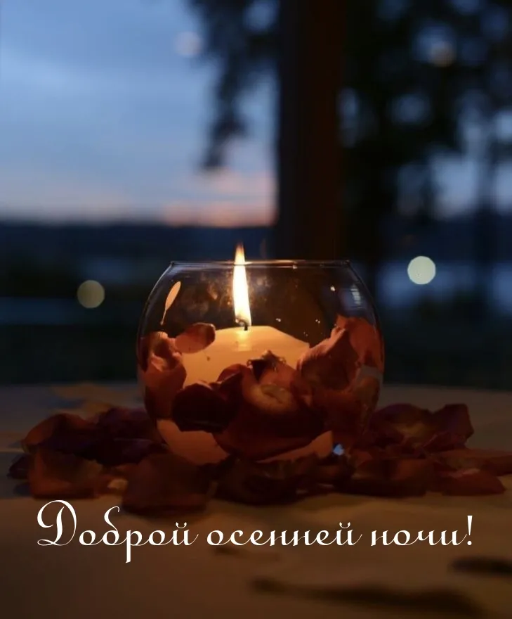 Картинки \"Спокойной осенней ночи!\" (130 шт.) Картинки \"Спокойной осенней ночи!\" (130 шт.)