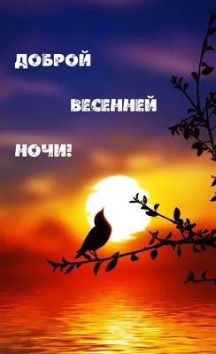 Весенние открытки \"Спокойной ночи!\" (254 шт.)