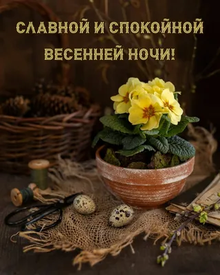 Картинки \"Спокойной весенней ночи!\" (258 шт.)