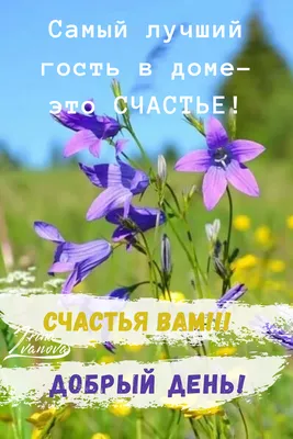 Красивые картинки \"Доброе утро, Любимый!\" (166 шт.)