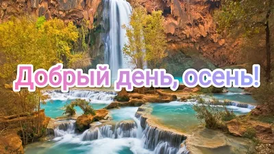 Хорошей субботы и отличного настроения осень - фото и картинки  abrakadabra.fun