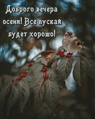 добрый вечер ~ Открытка (плейкаст)