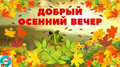 Добрый осенний вечер открытки (61 шт)