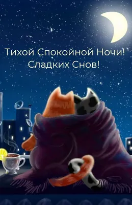 Добрых снов, Шмяк! / Сказки, книги для детей 3-5 лет Издательство CLEVER  6122376 купить за 387 ₽ в интернет-магазине Wildberries