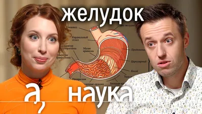 Доктор, откуда у вас такие картинки? » uCrazy.org - Источник Хорошего  Настроения