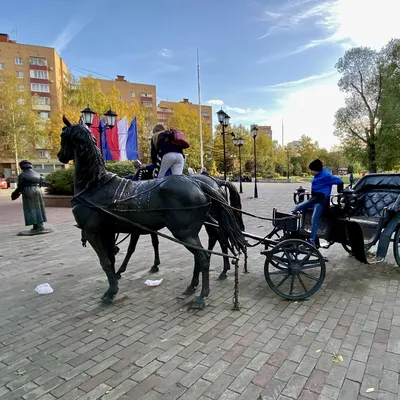 Канал имени Москвы | Долгопрудный (Долгопрудный городской округ) |  Фотопланета