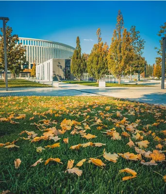 Домклик — поиск, проверка и безопасная сделка с недвижимостью в Краснодаре