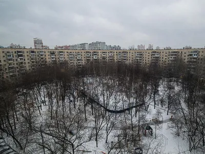 В каком районе Москвы купить квартиру - Журнал Домклик - Недвижимость -  Журнал Домклик