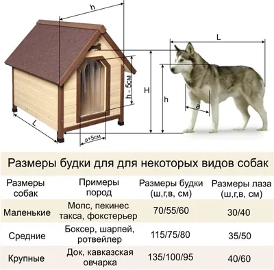 Собачьи будки из поролона