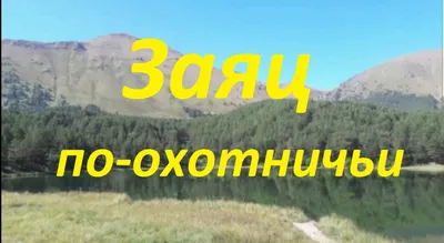 Потрачены большие деньги». В пуще на границе Гродненской и Брестской  областей белорус превратил старую хату лесника в настоящую усадьбу — Блог  Гродно s13