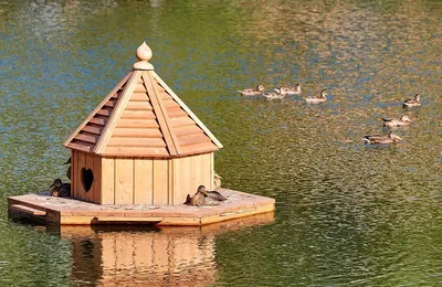 Скворечник деревянный своими руками с детьми / кормушка для птиц / домик  для птиц на дачу / сборный конструктор-скворечник 28х26х22 см - купить с  доставкой по выгодным ценам в интернет-магазине OZON (461320245)