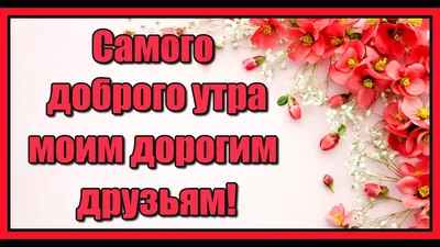 С добрым утром дорогие друзья!☕☕💕💕 | ~•♥Счастливости♥•~ | ВКонтакте