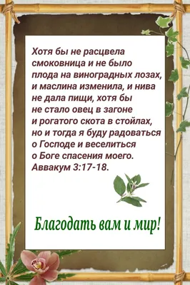 Доброе утро дорогие друзья! Всем хорошего начала недели. Пусть все ваши  мечты сбудутся, удачи. #взаимныелайки #взаимныеподписки #осень… | Instagram