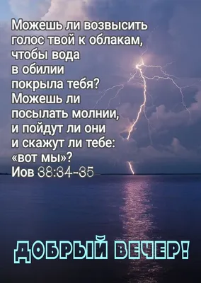 Дорогие друзья!. От всей души поздравляю вас с наступающим 2024 годом! -  Лента новостей ЛНР