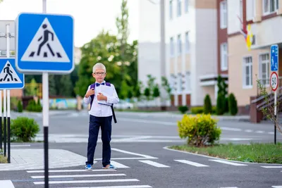 Дорожные знаки для велосипедистов в картинках