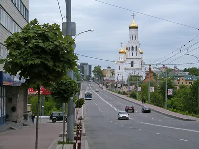 Кубинская делегация посетила знаковые места Брянска | РИА «Стрела»