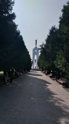 Брянск: где находится и чем славится этот старинный город