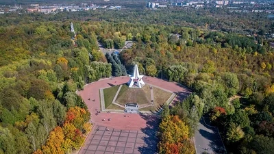 Карта Брянской области с городами на спутниковой карте онлайн