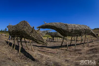 Самые красивые места для фотосессий в Якутске и его окрестностях (ФОТО) —  ЯСИА