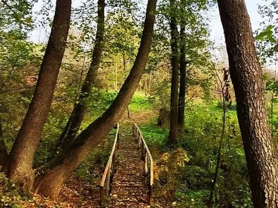 Памятники Курска | Курск - история и легенды нашего города