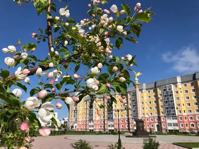 В Нижневартовске разрушаются объекты архитектуры