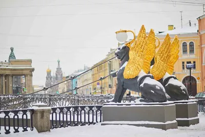 Достопримечательности Невского проспекта в Санкт-Петербурге, куда сходить и что  посмотреть: здания, развлечения, интересные места в 2024 году 💥 —  Tripster.ru