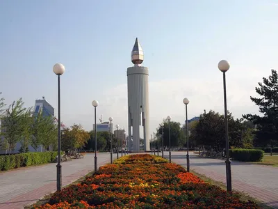 Дерево счастья – ГородТ