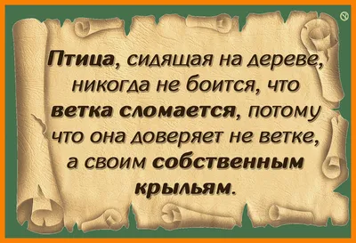 Доверие — стоковые фотографии и другие картинки Доверие - Доверие, Падать,  Формирование команды - iStock