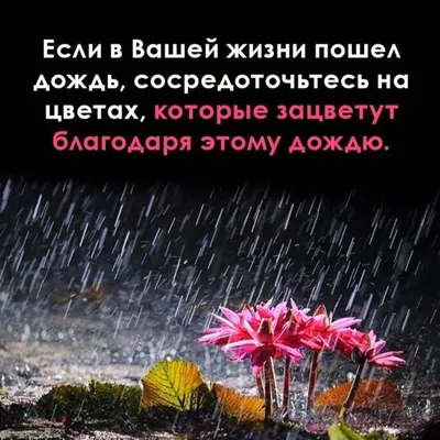 1,884 отметок «Нравится», 13 комментариев — Статусы Со смыслом (@citativk)  в Instagram: «Мы всегда стараемся для Ва… | Жизненная мотивация, Слова со  смыслом, Цитаты