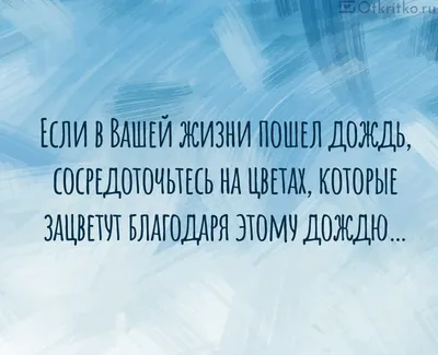 Открытка Фиолетовая Сиреневая Ветвь В Винтажной Корзине Со Словами Цветы  Под Дождем Капли Дождя Образуют Красивое Боке На Заднем Плане — стоковые  фотографии и другие картинки Баскетбольное кольцо - iStock