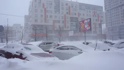 В Казани бушуют шквалистый ветер и ливень с грозой – горожан призвали не  выходить из дома