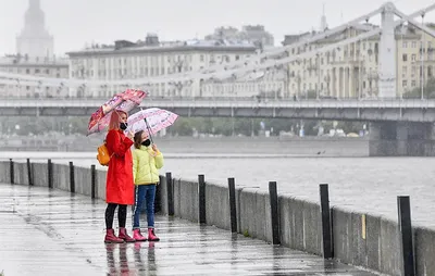 В Москве начался мощный дождь и ветер порывом 21 м. в секунду — Главные новости  Москвы, России и мира